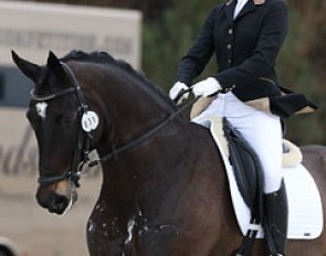 Amy Bird on the 6-year old KWPN Cambel B (by Vivaldo)