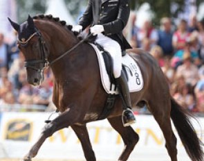 Andreas Helgstrand and Floricello win silver at the 2013 World Young Horse Championships in Verden :: Photo © Astrid Appels
