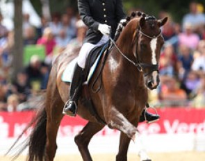 Minna Telde and Bilan at the 2013 World Young Horse Championships in Verden :: Photo © Astrid Appels