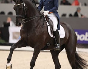 Tommie Visser and Vingino at the 2014 CDI-W 's Hertogenbosch :: Photo © Astrid Appels