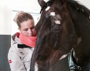 Anna Kasprzak pats and cuddles Donnperignon after he came out of the recovery room from eye surgery
