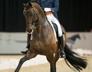 Hans Peter Minderhoud and Romanov win the Grand Prix Special at the 2014 CDI Drachten