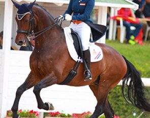 Lotte Meulendijks and Tom Tom Go at the 2014 European Junior Riders Championships in Arezzo :: Photo © Astrid Appels