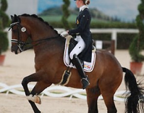 Belgian Jorinde Verwimp rode Tiano (by Lester x Hemmingway) with a very painful, broken toe on her left foot and still managed to score 69.237%