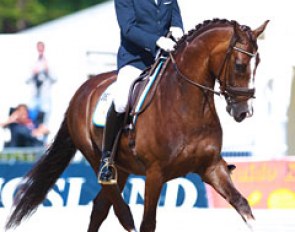 Carl Cuypers and Bilan at the 2014 World Young Horse Championships :: Photo © Astrid Appels