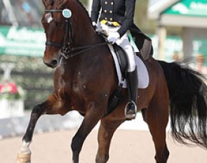 Laura Graves on Verdades. The bay KWPN gelding showed amazing sit in the pirouettes but struggled with the rhythm and balance in the piaffe