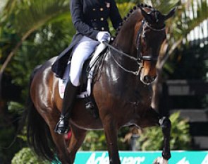 Adrienne Lyle and Wizard in the Grand Prix at the 2014 CDIO Wellington :: Photo © Astrid Appels