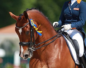 2014 European Young Riders Champions Anne Meulendijks and Avanti have made the transition to the Under 25 division in 2015 :: Photo © Astrid Appels