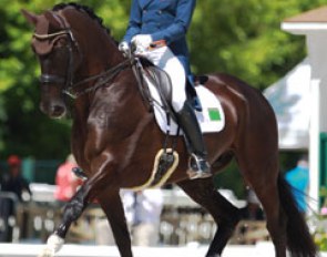Tommie Visser and Vingino at the 2015 CDI Compiegne :: Photo © Astrid Appels
