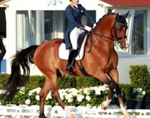 2014 European Young Riders Champion Anne Meulendijks made the transition to Grand Prix level on Avanti (by United)