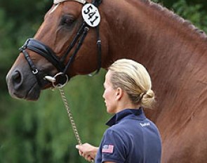 Lisa Wilcox and Gallant Reflection HU at the horse inspection for the 2015 U.S. Young Horse Championships in Wayne, ILL :: Photo © Mary Phelps