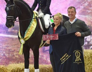 Danielle Dierks and Solo Feliz were named "Champions of Champions" at the 2015 Australian Young Horse Championships in Werribee