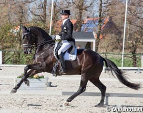 Edward Gal and Undercover at the 2016 CDI Nieuw en St. Joosland :: Photo © Digishots