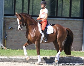 Open training day at Ingrid Klimke's stable in Munster, Germany :: Photo © Silke Rottermann