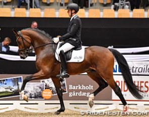 Jan Moller Christensen and Hesselhoj Donkey Boy win the 4-year old division at the 2016 Danish Young Horse Championships in Odense :: Photo © Ridehesten