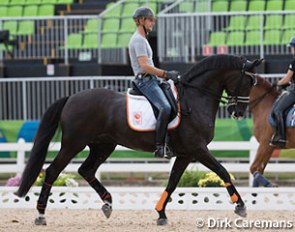 Edward Gal training Voice in the main stadium at the 2016 Olympic Games :: Photo © Dirk Caremans