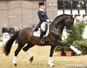 Helen Langehanenberg and Damsey at the 2016 Hanoverian Private Stallion Owners' Show in Verden in February :: Photo © Kiki Beelitz