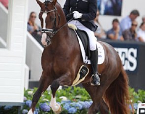 Dana van Lierop on Gunner KS at the 2016 World Young Horse Championships :: Photo © Astrid Appels