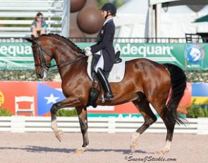 Laura Graves and Verdades win the Grand Prix at the 2016 CDI 4* in Wellington :: Photo © Sue Stickle