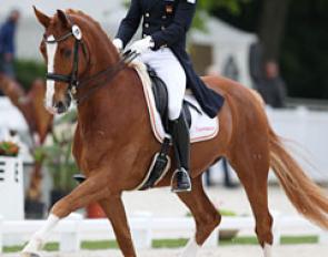 Equestricons Lagerfeld K at the 2017 CDIO Compiegne :: Photo © Astrid Appels