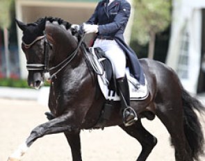 Fanny Verliefden rode her third CDI on the 10-year old Indoctro van de Steenblok. The black stallion is super talented and a fancy mover, but still green and short of power. He regularly dropped behind the vertical in piaffe and passage