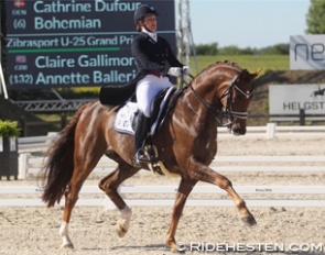 Cathrine Dufour and Bohemian at the 2017 CDIO Uggerhalne :: Photo © Ridehesten