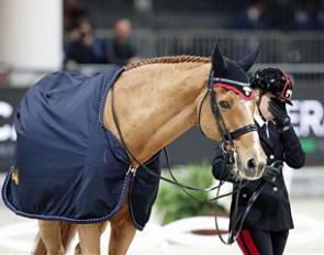 Chablis retired from sport in Verona :: Photo © Fieracavalli