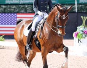 Laura Gravers and Verdades win the CDI-W Grand Prix in Wellington at the Global Dressage Festival during the seventh week of competition :: Photo © Sue Stickle