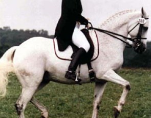 Lendon Gray on Seldom Seen, an American bred 14.2 hh Thoroughbred x Connemara cross gelding which brought dressage to everyone and showed it was for anyone