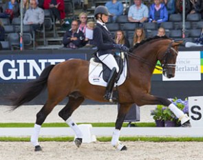Barroso at the 2017 Excellent Dressage Sales in Ermelo :: Photo © Digishots