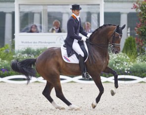 Renowned international Grand Prix mare Sisther de Jeu, here ridden by Edward Gal at the CDIO Aachen, is now a highly successful broodmare producing top offspring