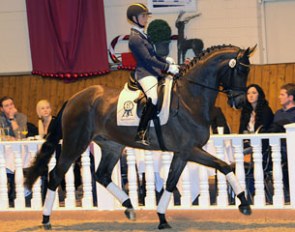 Eva Möller aboard Bluetooth, the dressage price highlight of the 2013 PSI Auction