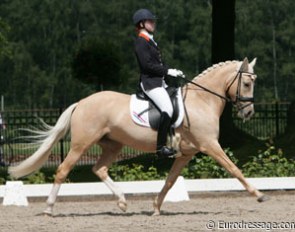 Antoinette te Riele and Golden Girl (by FS Don't Worry) at the 2009 CDI-PJYR Weert