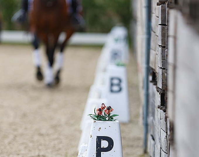 The "P" for Progress in our sport? :: Photo © Astrid Appels