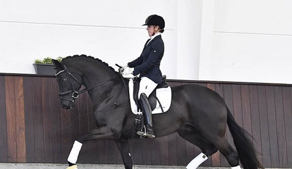 Ferdades (by Furstenball x Donnerhall)