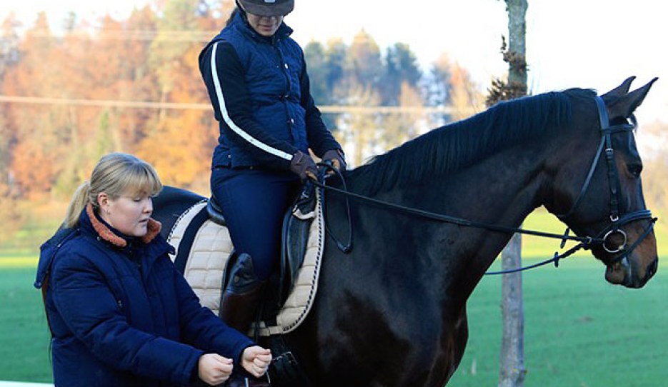 Hand position and direction shown to the rider from above :: Photo © Silke Rottermann