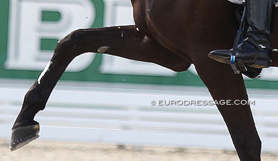 Spectacular gaits at the cost of the training scale?! :: Photo © Astrid Appels