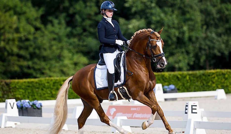 Sophie van der Steen and His Royal Badness DK at the 2023 Dutch Outdoor Championships :: Photo © Digishots