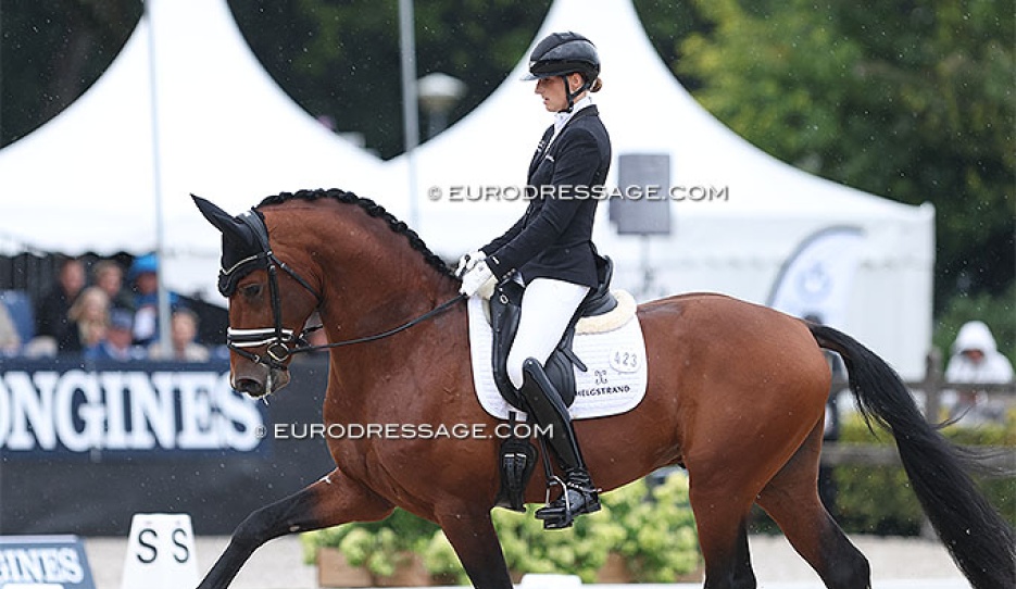 Leonie Richter and Vogue in the 4-year old "challenge" at the World Young Horse Championships :: Photo © Astrid Appels