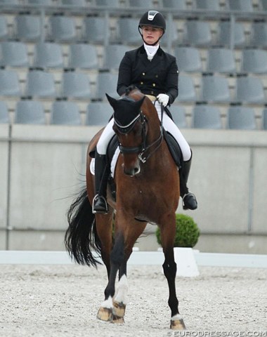 Danish Trine Mittag Jensen and the show jumping bred Gammelenggaards Easy (by Light and East x Akinos)