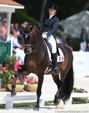 First time competing for France: Morgan Barbançon Mestre on Sir Donnerhall II