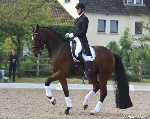 Sönke Rothenberger warming up his rising Grand Prix horse Santiano R