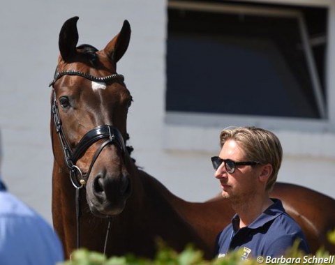 No 2018 CDIO Aachen for Patrik Kittel. Delaunay did not pass the trot-up. A family holiday in Sardinia was a nice consolation