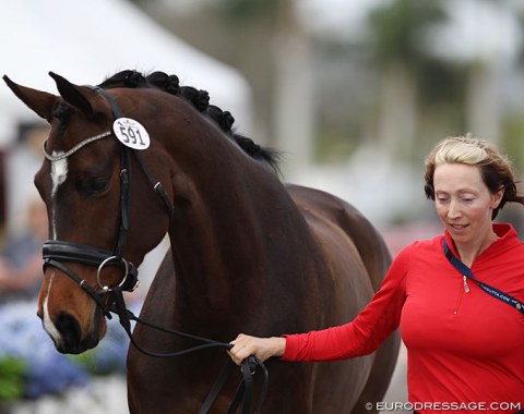 Alison Famiglietti with Let's Dance in their first CDI trot up