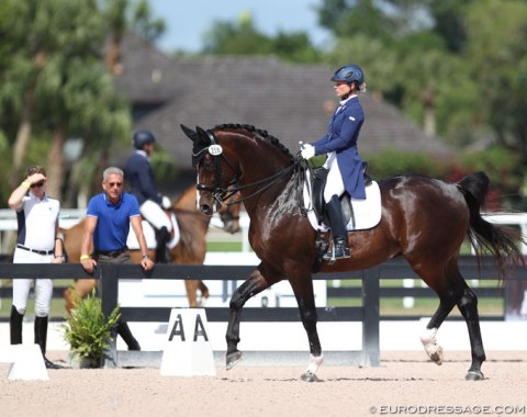 Devon Kane and Sir Galanto in the national Grand Prix