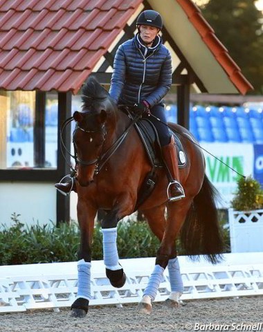 Anabel Balkenhol on her small tour mare High Five