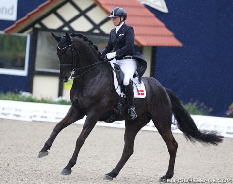 Lone Bang Larsen on Bakkely's Onandt (by Onassis x Michellino). The Danes are usually loyal visitors of the CDI Hagen but this year it stood out that none of the WEG team riders were actually there this weekend.
