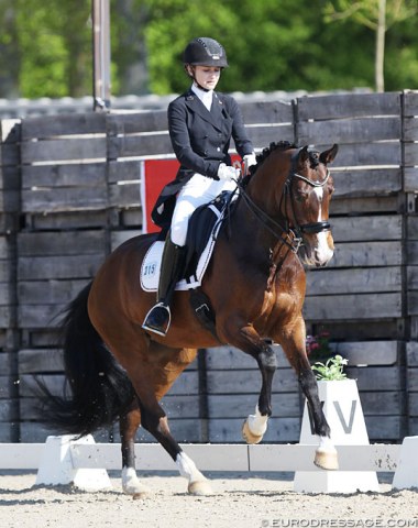 Laura-Franziska Riegel on Zaffier (by Painted Black x Pion), who was previously owned and competed by Esmee Donkers