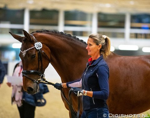 Dominican Republic's Yvonne Losos de Muniz made her World Cup Finals' debut last year in Paris on Foco Loco W. This year she brings her second horse, Aquamarijn (by United x Gribaldi)