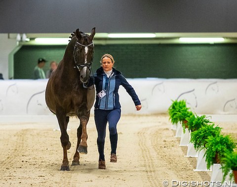 World Cup Finals' debutant Tanya Seymour, who rides for South Africa, on her 17-year old Oldenburg stallion Ramoneur